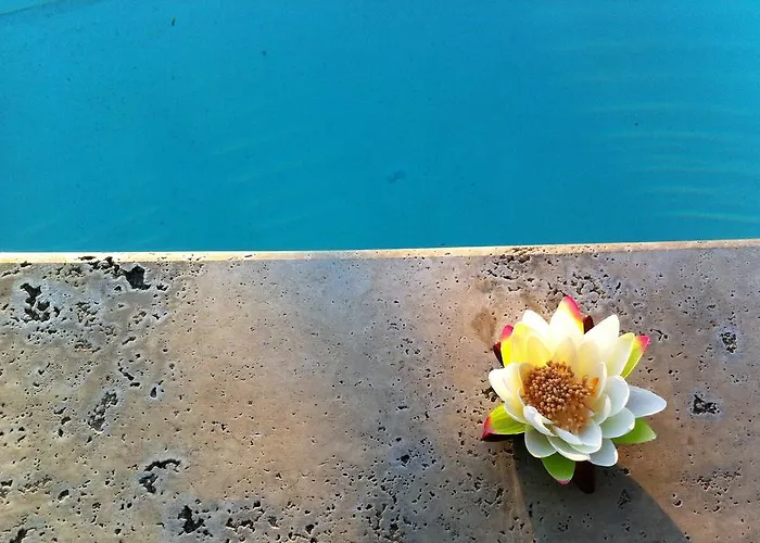 Terranobile Metaresort Hotel Bari