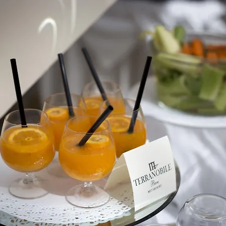 Hotel Terranobile Metaresort Bari